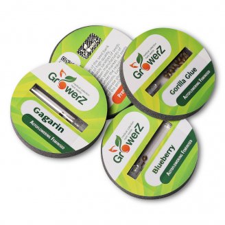 Семена конопли купить сорт Cheese Auto Fem.