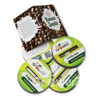 Afghan Kush Auto Fem.