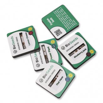 Семена конопли купить сорт Kalashnikova Auto Fem.