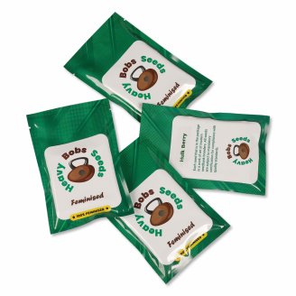 Семена конопли купить сорт Monster Gelato Fem.