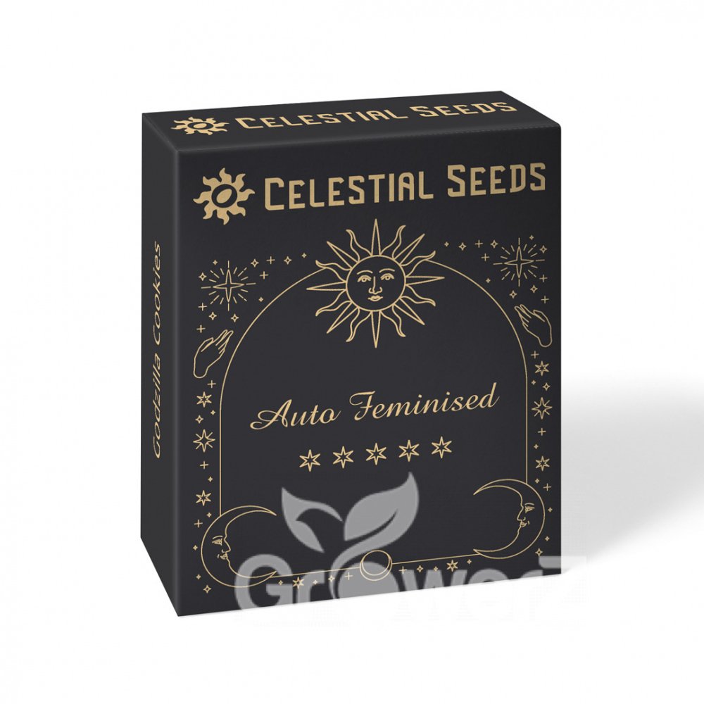 Apple Betty Auto Fem.