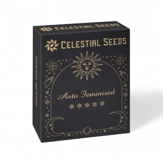 Семена конопли купить сорт White Widow Auto Fem.